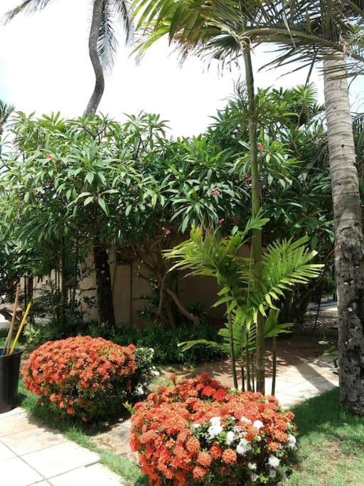 Eco Paradise 131 Apartment Cumbuco